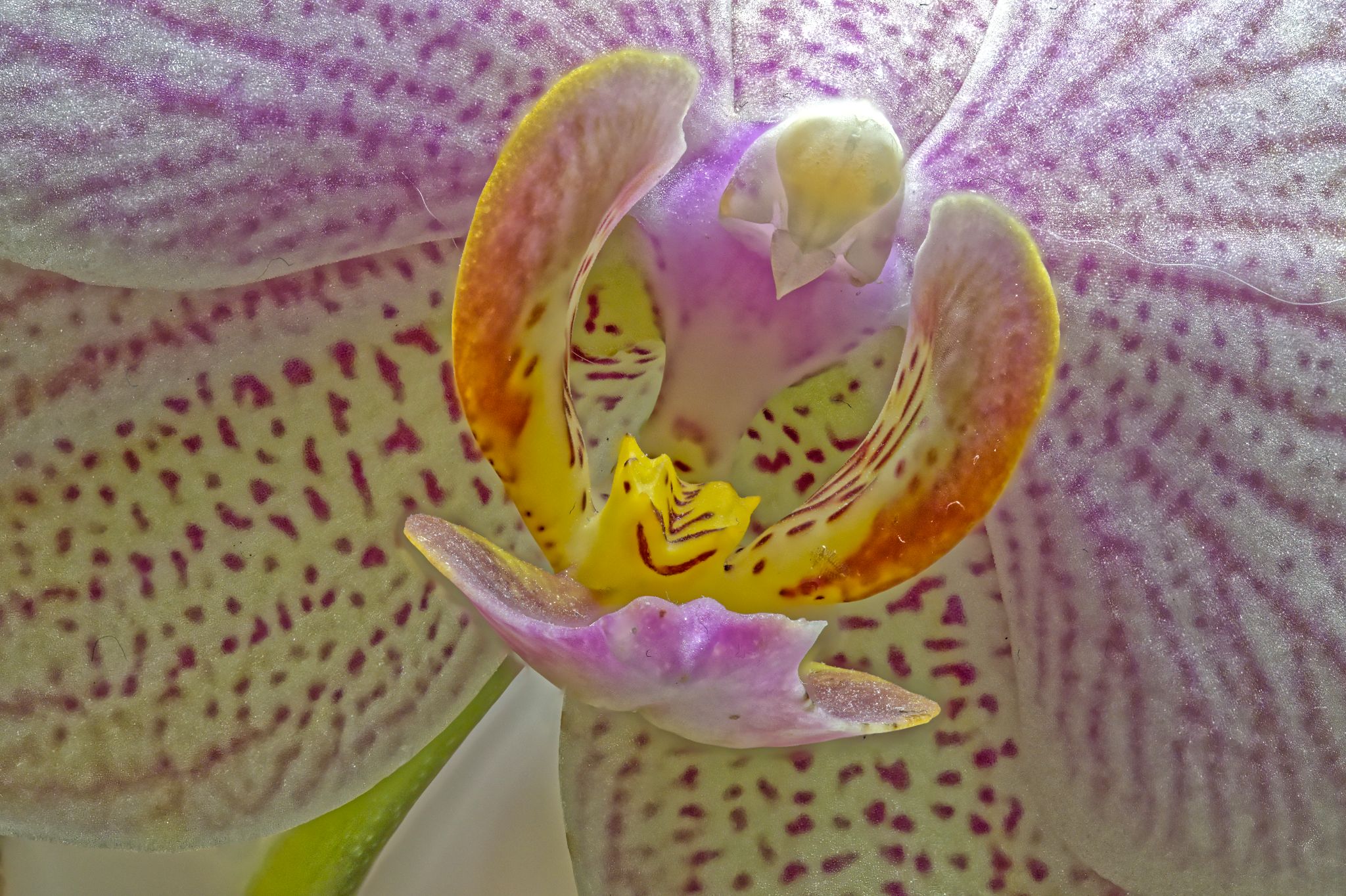 2022 05 05 23 38 53 (B,R6,S3)a